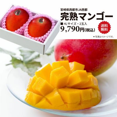 期間限定】宮崎県 完熟マンゴー | 南海グリル